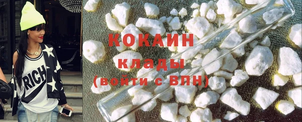 тгк Дмитров