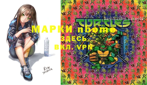 тгк Дмитров
